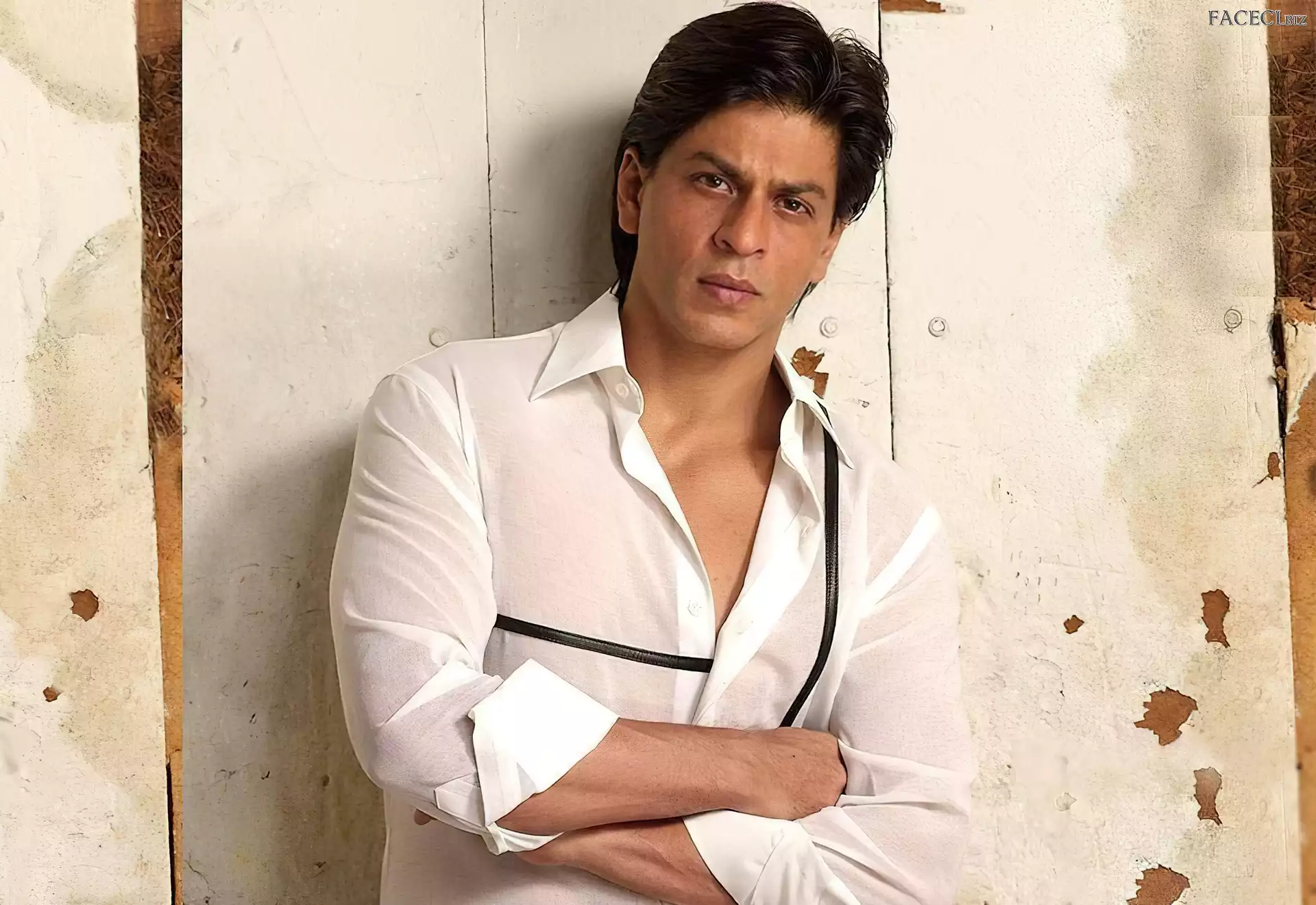 Shahrukh Khan, Aktor